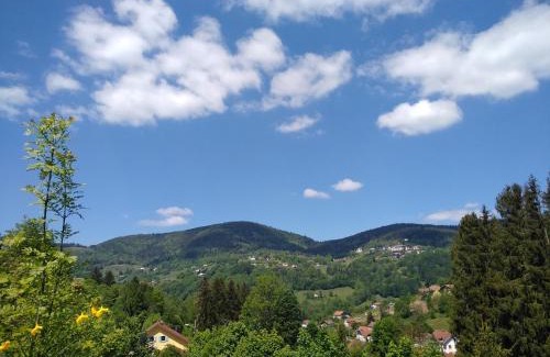 Bussang Bed & Breakfast | Les Sapins