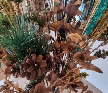 Saint-Josse Apartment | Les sapins-nature & calme - 2pers - Saint Josse