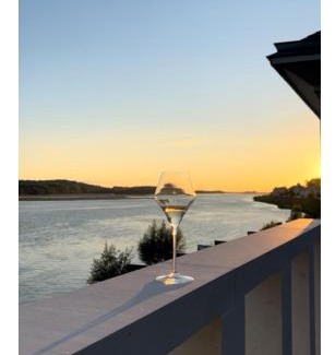 Saint-Mathurin-sur-Loire Apartment | Les sternes de st Mathurin sur Loire , terrasse sur la Loire