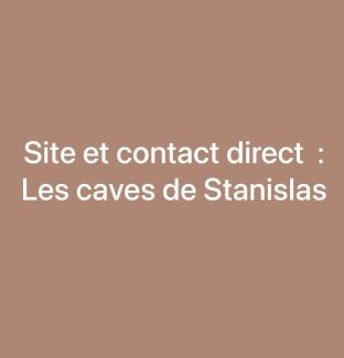 Saint-Pierre - Rene II - Bonsecours Apartment | Les suites de Stanislas jacuzzi & spa