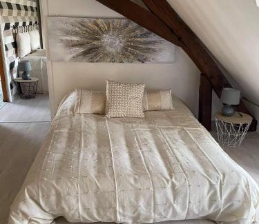 Saint-Romain-sur-Cher House | Les sureaux du cher