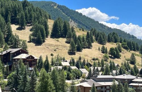 Allos Apartment | Les Terrasses de Labrau