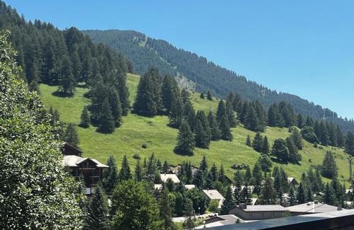 Allos Apartment | Les Terrasses de Labrau