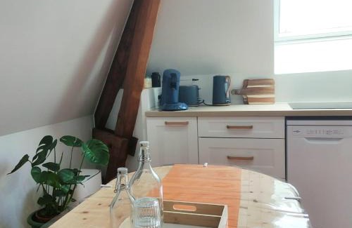 Ep 21 - Saint-Paul Apartment | les Tilleuls Grand 2 pièces, super équipé, 2 pas du centre-ville "clos-du-boulanger" - parking privé