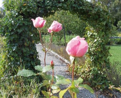 Abbeville House | Les Trois Roses
