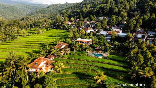 Munduk Hotel | Lesong Hotel and Restaurant