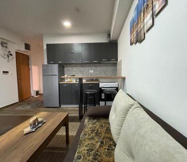 Kisela Voda Apartment | Lester 3 apartments