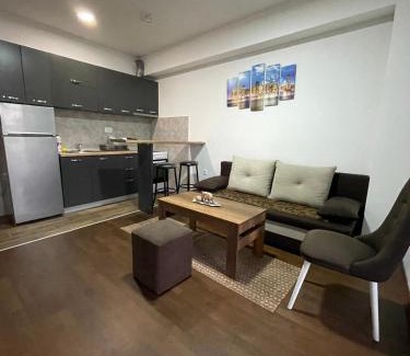 Kisela Voda Apartment | Lester 3 apartments
