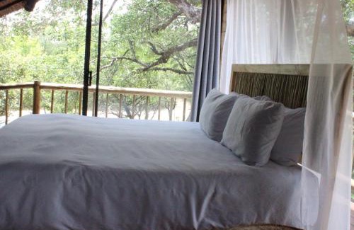 Marloth Park Resort | Letoane@krugerpark