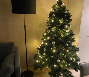 Sirkka Apartment | Levin Kunkku B6
