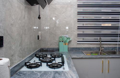 Opebi Apartment | Lexanni Havens