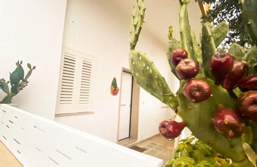 Collemeto Apartment | Li Palasciani