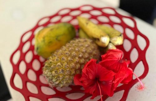 Nadi Apartment | Libby's Vacation Rental 2 Bed Home 1-4 Guests