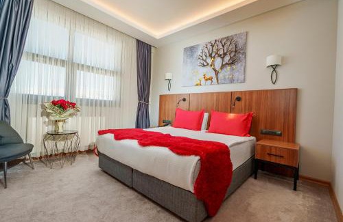 Melikgazi Hotel | Library Hotel Erciyes