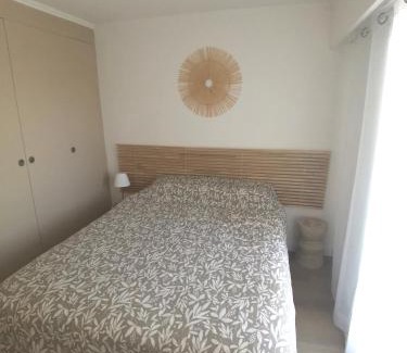 Cros-de-Cagnes Apartment | Lido, private apartment seaside, parking, swimming pool