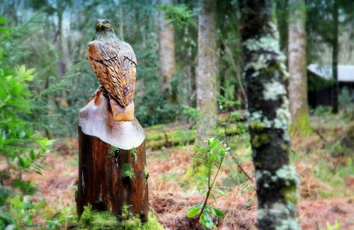 Taynuilt Cabin | LIEVER is a charming log cabin in a beautiful forest location close to Loch Awe
