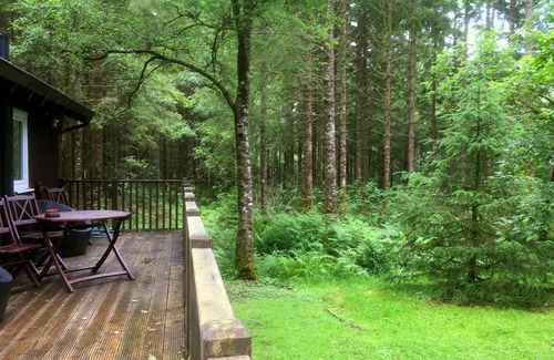 Taynuilt Cabin | LIEVER is a charming log cabin in a beautiful forest location close to Loch Awe
