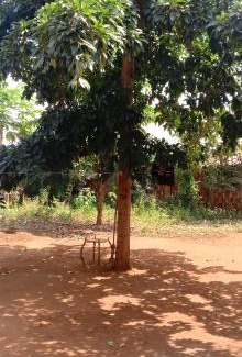 Mwanga Other | Life adventure