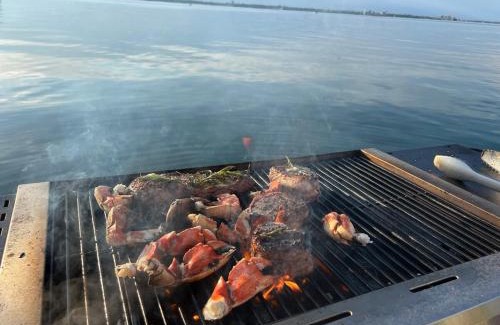 Inner Harbour Boat Rental | Life on the water