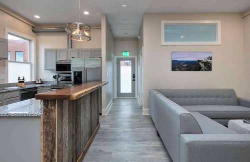 Roanoke Apartment | Light-filled adventure loft