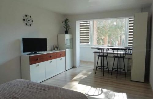 Visaginas Apartment | Light one room apartment