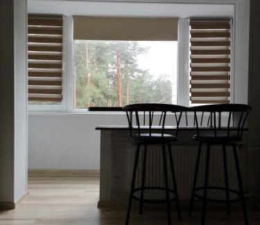Visaginas Apartment | Light one room apartment