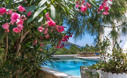 Kalkan Bed & Breakfast | Likya Gardens Hotel