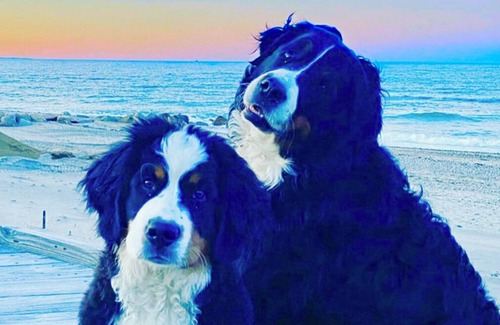 East Sandwich Cottage | Lil’ Sea Sass ~ Oceanfront Cottage, PRIVATE Beach & Pet Friendly!
