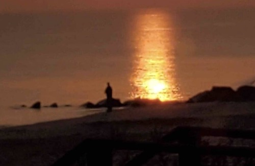 East Sandwich Cottage | Lil’ Sea Sass ~ Oceanfront Cottage, PRIVATE Beach & Pet Friendly!