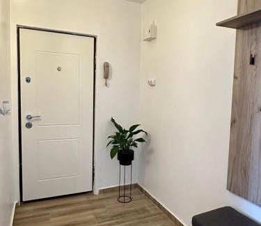 Timisoara Apartment | Lili Apartment