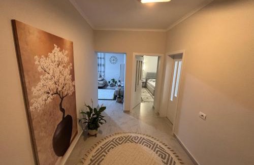 Elbasan Apartment | Liljana Apartment 2