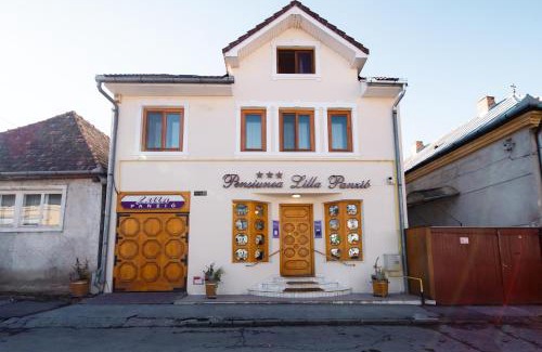 Odorheiu Secuiesc House | Lilla Panzió