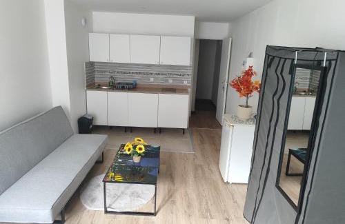 Lille Centre Ville Apartment | Lille