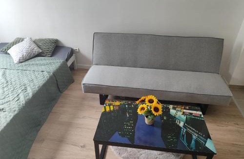 Lille Centre Ville Apartment | Lille