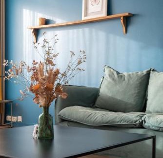 Saint-Maurice Pellevoisin Apartment | Lille StMaur equipped apartment with elevator