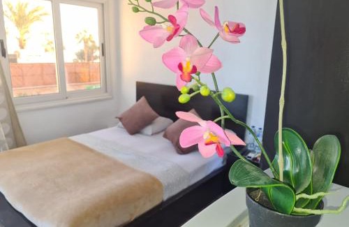 Sakkala Apartment | Lilly Rooms and Studio