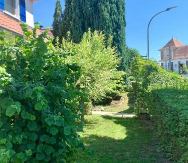 Weinheim Apartment | Lilo Luisa