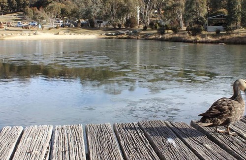 Crackenback Ski Chalet | Lily Chalet - Spacious, New, Cosy, Great Location.