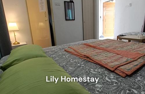 Kampung Permatang Badak House | Lily's Guesthouse Kuantan City