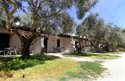 Marsala Other | Lilybeo Village