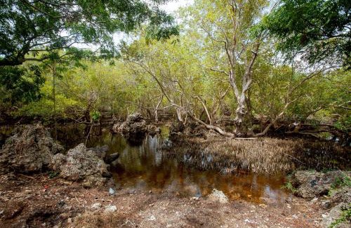 Watamu Apartment | LIMA House - Mangrove Nyumba