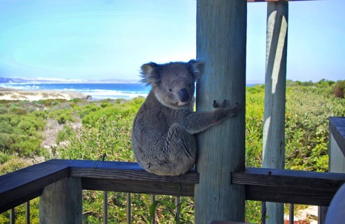 Sleaford House | Lincoln Beach Retreat