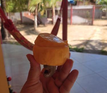 Marapanim House | Linda casa em marudá
