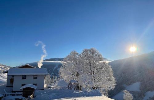 Sankt Johann im Pongau Apartment | Lindbichlhof Urlaub am Bio Bauernhof