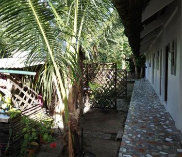 Biri Apartment | Linden Apartment