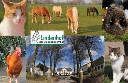 Ahnebyheck Apartment | Lindenhof