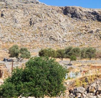 Lindos Apartment | Lindos Portes Suites - Adults Only