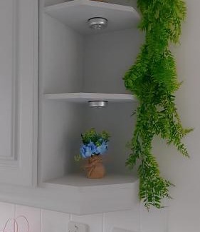 Irvine Villa | Linkwood house