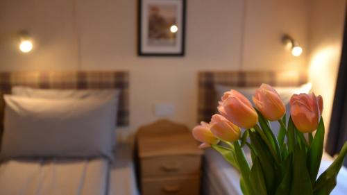 Corpach Resort | Linnhe Lochside Holidays