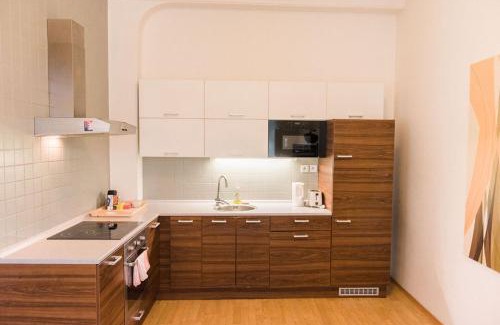 Old Town Apartment | Lion Apartments in historical center, Bratislava Old Town
